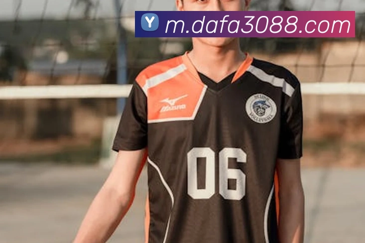 大发彩票网站服务体系